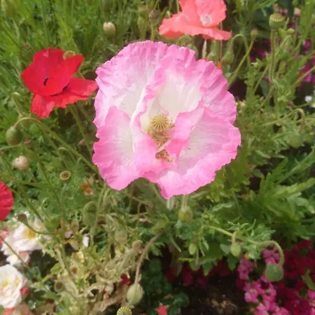 Bed & Breakfast Le Bonheur A Portee De Mains Bergerac
