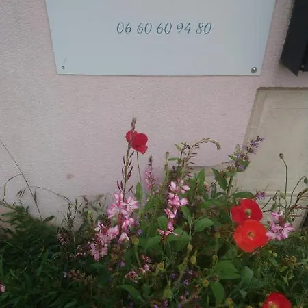 Le Bonheur A Portee De Mains * Bergerac